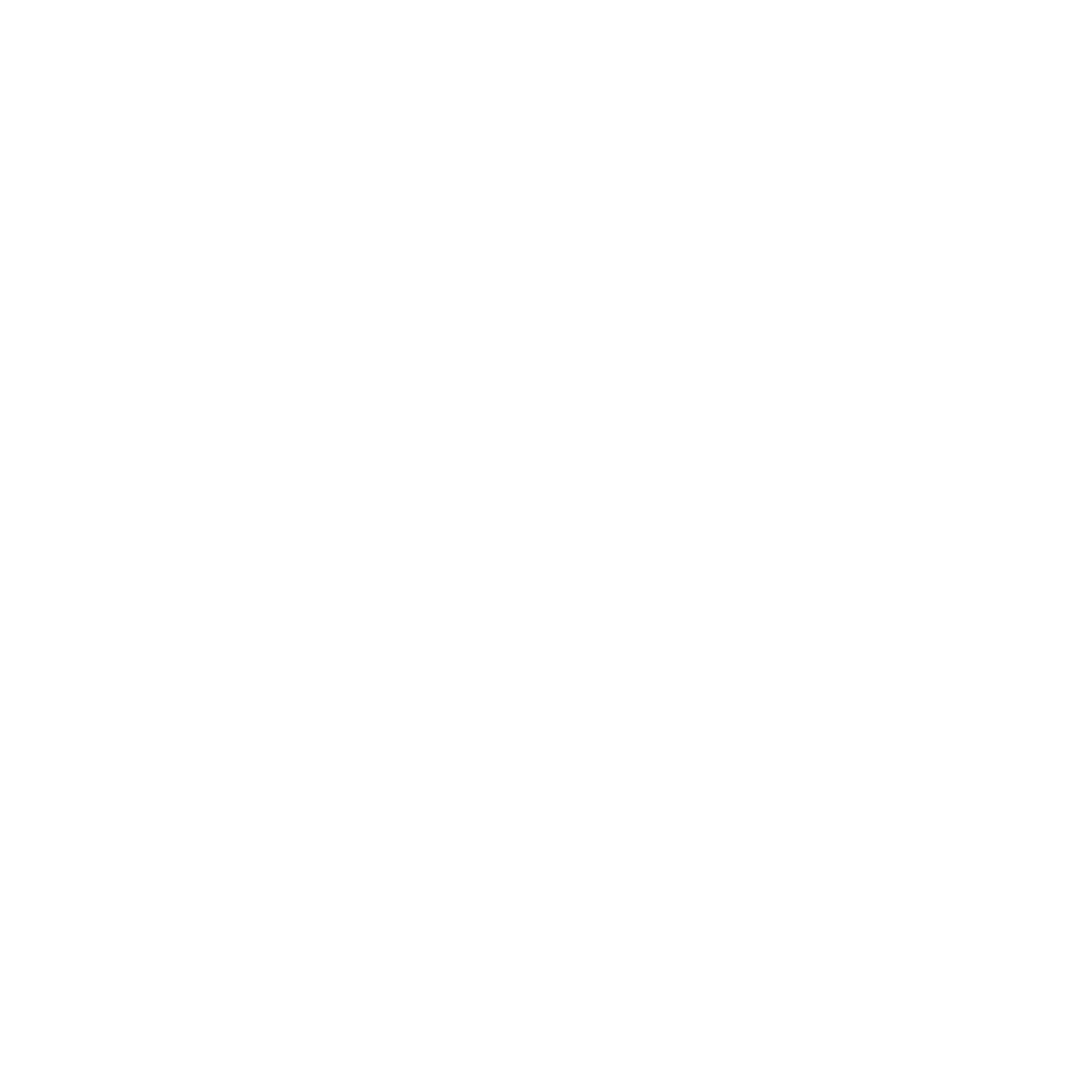 Healthcare Icon