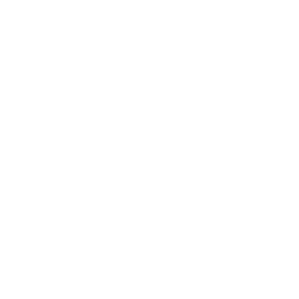 Media Icon